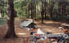 campsite.jpg (65509 bytes)