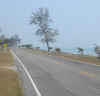 Beach-road.jpg (33192 bytes)